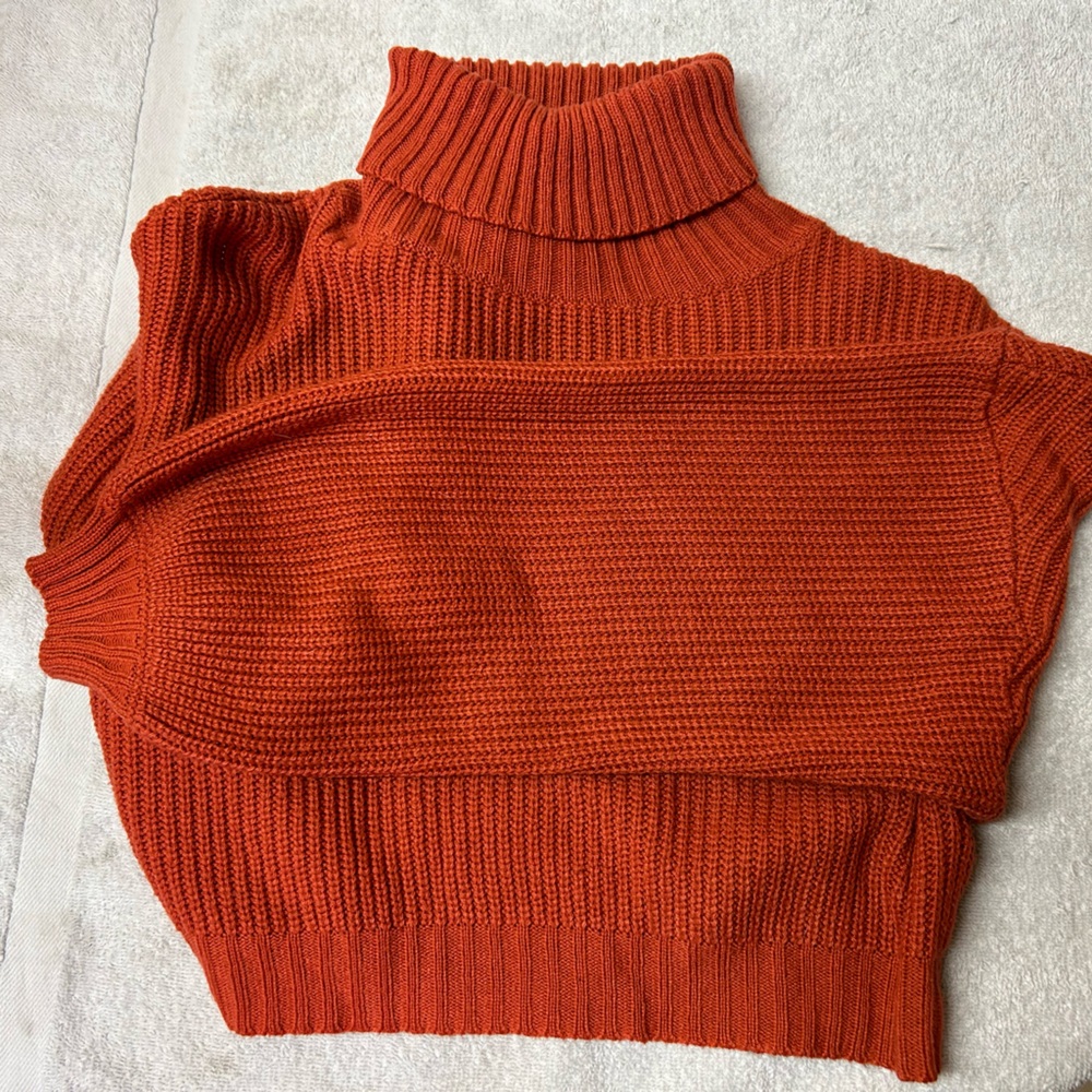 Cropped Turtleneck Sweater